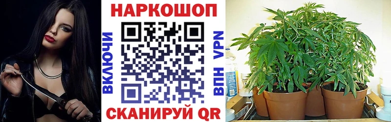 Купить наркотики Фокино КОКАИН  А ПВП  Меф мяу мяу  ГАШ  Героин  Бошки Шишки 