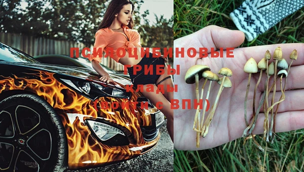 гидропоника Лихославль