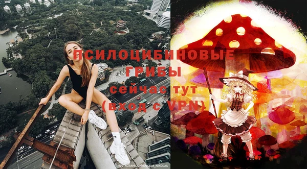 тгк Ладушкин