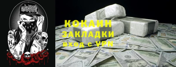 тгк Ладушкин