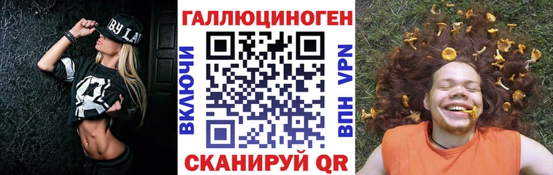 Псилоцибиновые грибы Psilocybe  это телеграм  Фокино  закладка 